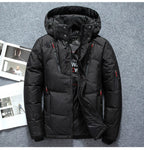 Colt | Mens Hooded Padded Puffer Winter Jacket - 6