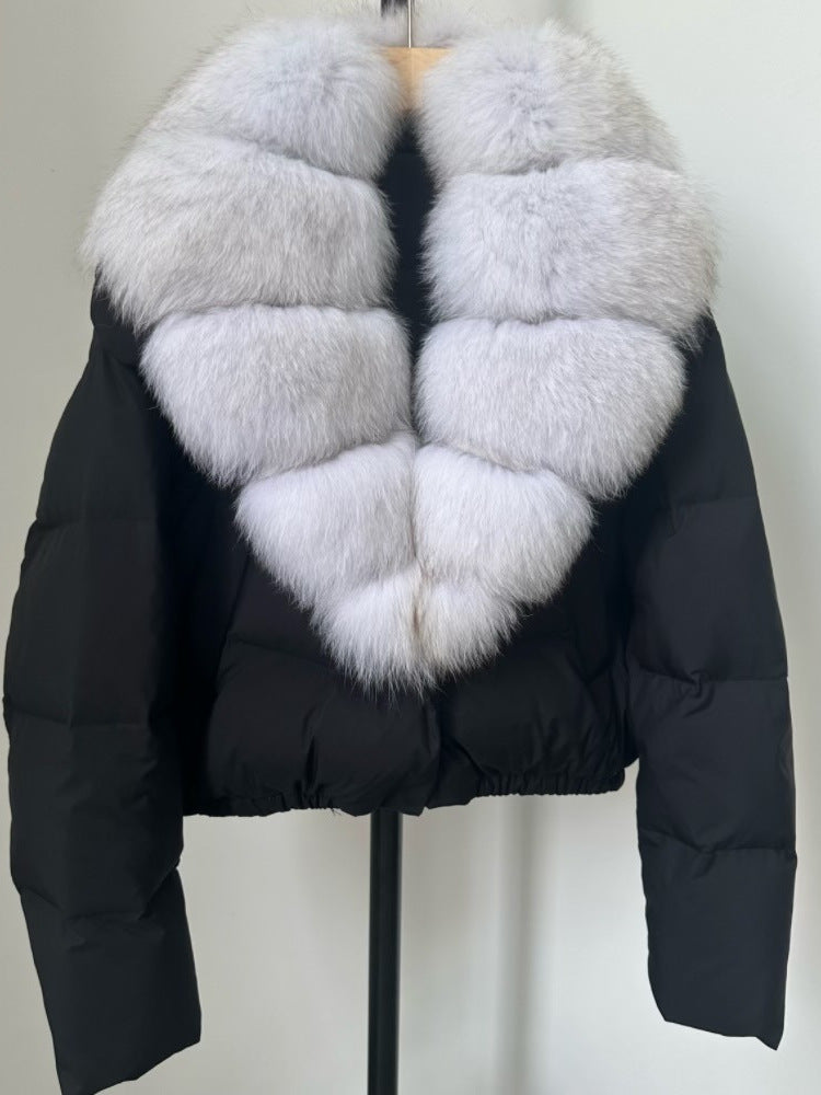 Deidre | Womens Puffer Jacket High Collar Padded Warm Winter Coat