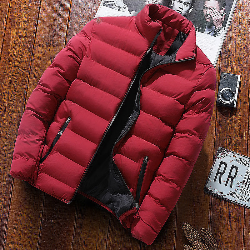 Isidore | Mens Warm Zip Stand Collar Winter Cotton Cardigan - 2