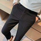 Ray | Mens Dress Slim Fit Tapered Business Formal Pants