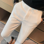 Ray | Mens Dress Slim Fit Tapered Business Formal Pants