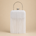 Robyn | Womens Clutch Purse Tassel Evening Shoulder Crossbody Bag, White