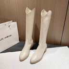 Wynn | Womens Over The Knee Boots Pointed Toe Winter Footwear